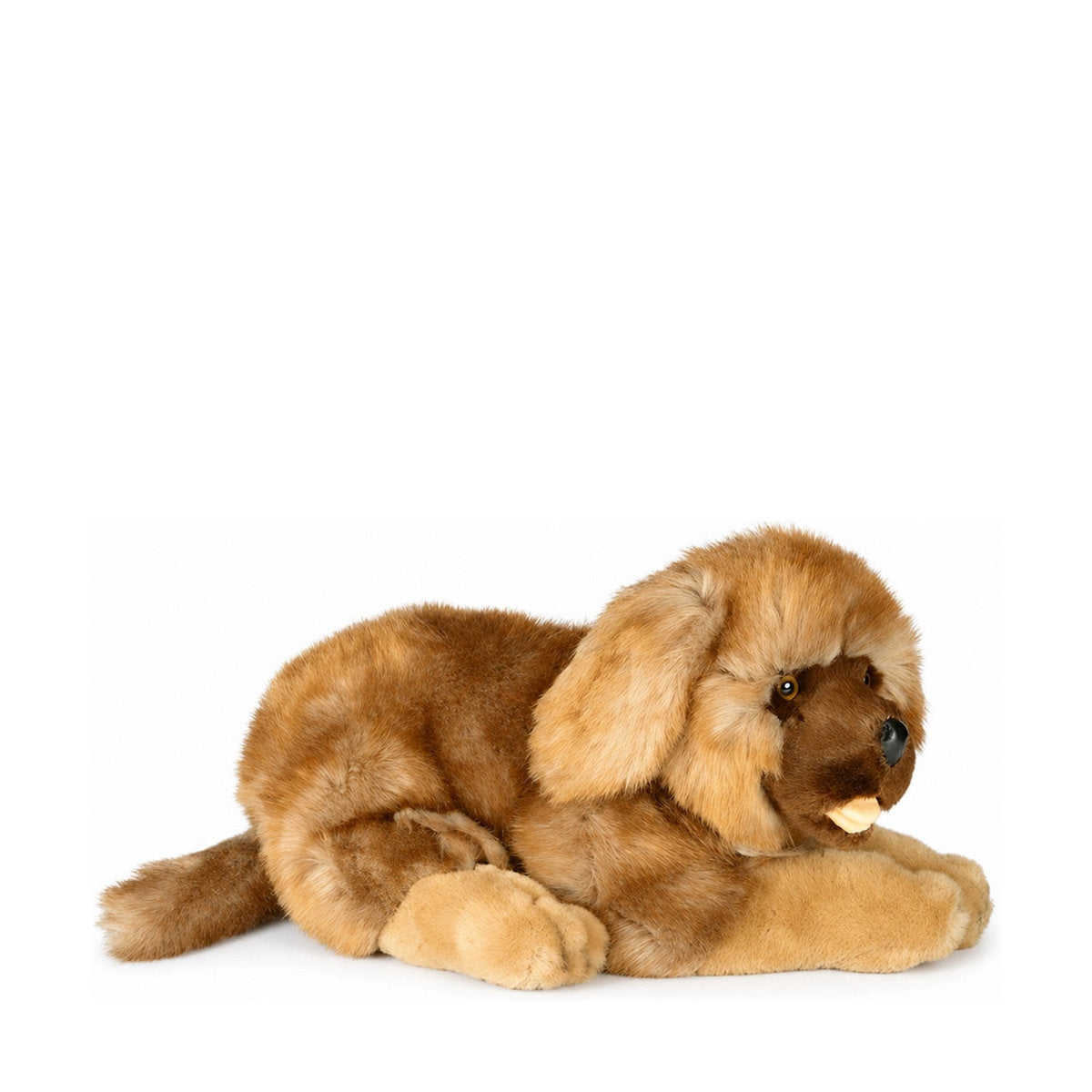 PIUTRE-3364 pose:lying