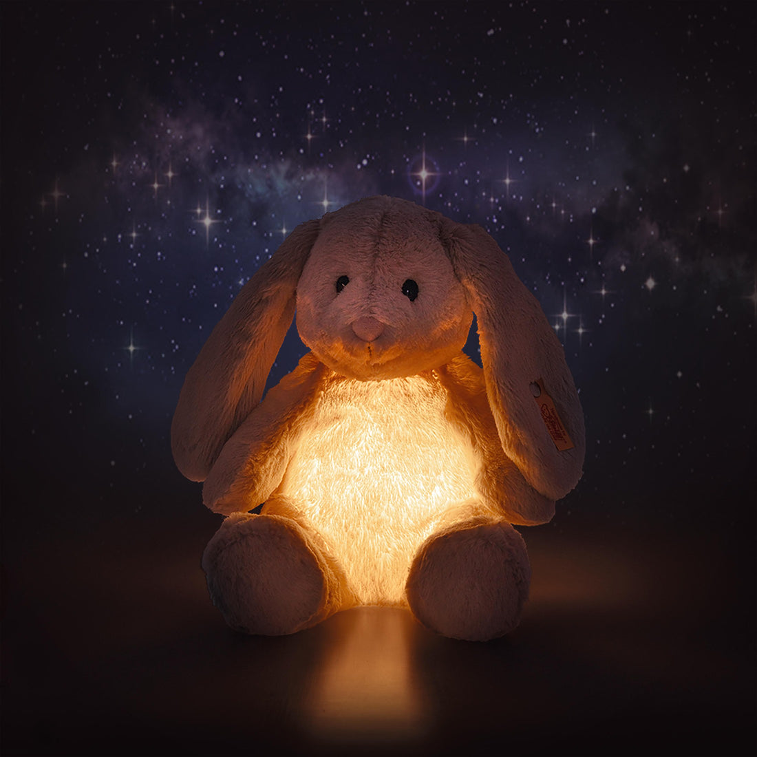 Hoppie glowing under the stars