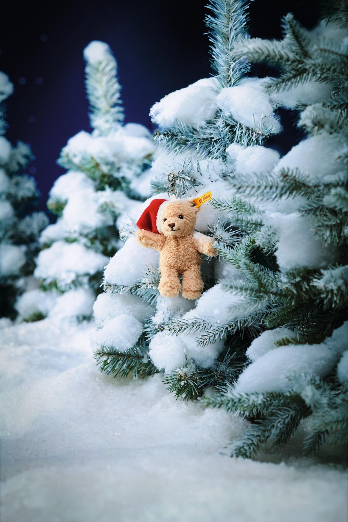 Ben ornament in the snowy tree